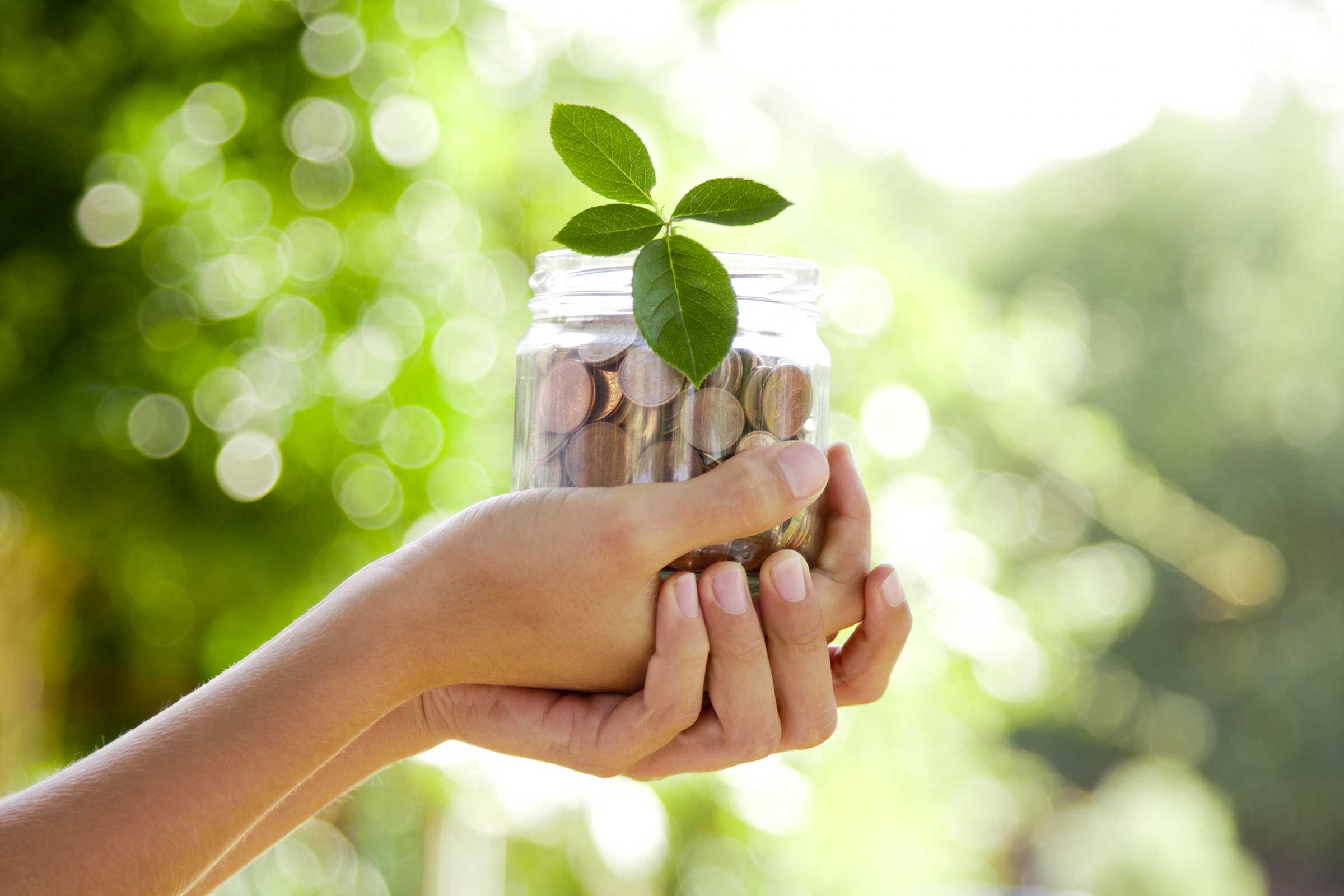 A jar of saved coins